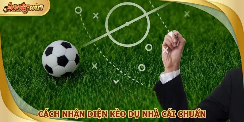 Để ý các loại tỷ lệ cược lạ và thay đổi bất thường